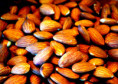 /album/fotogaleria-frutos-secos/almendras-1024x734-jpg/